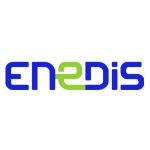 Logo Enedis Quiz Boxing complexe de loisirs